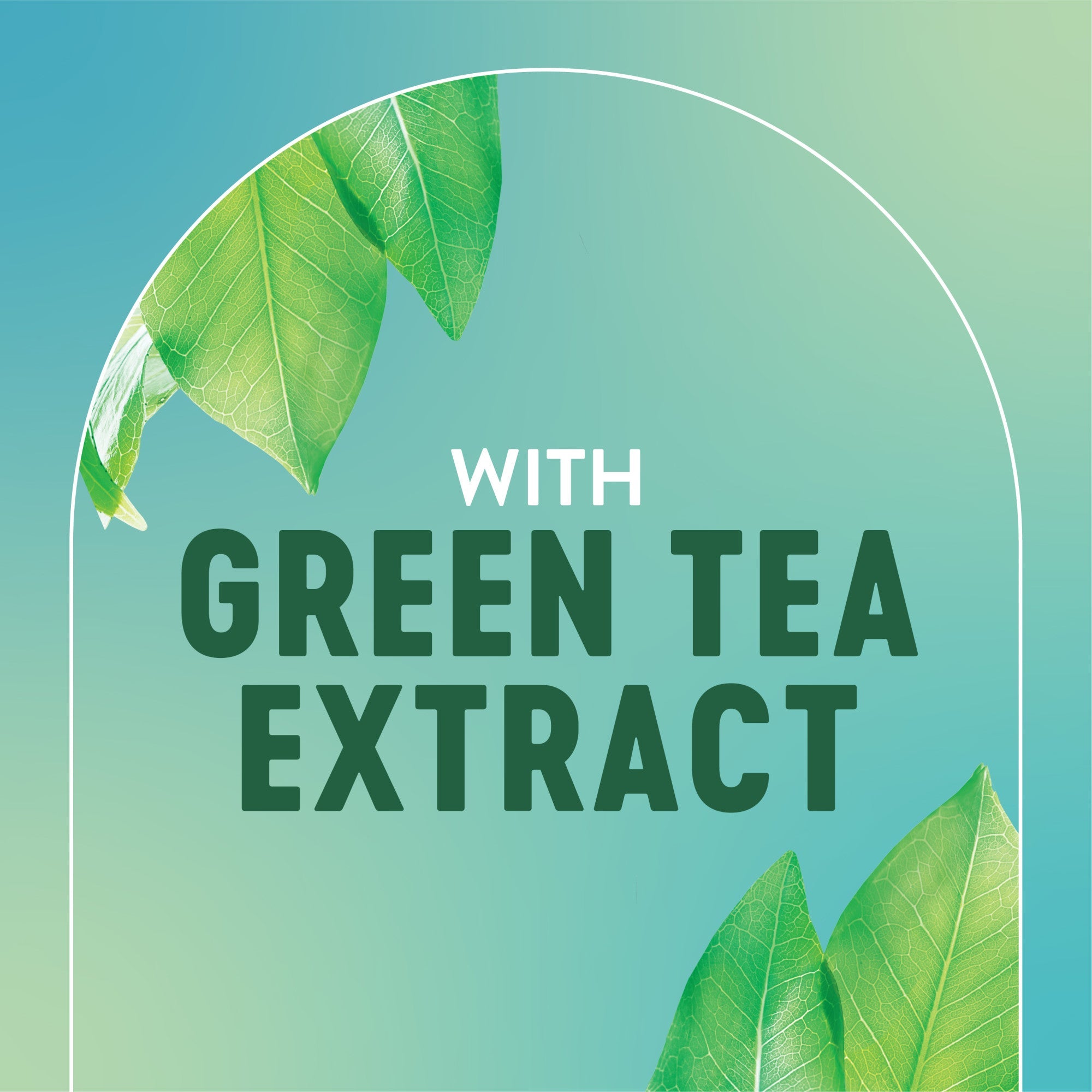 English: With green tea extract Français: Avec extrait de thé vert
